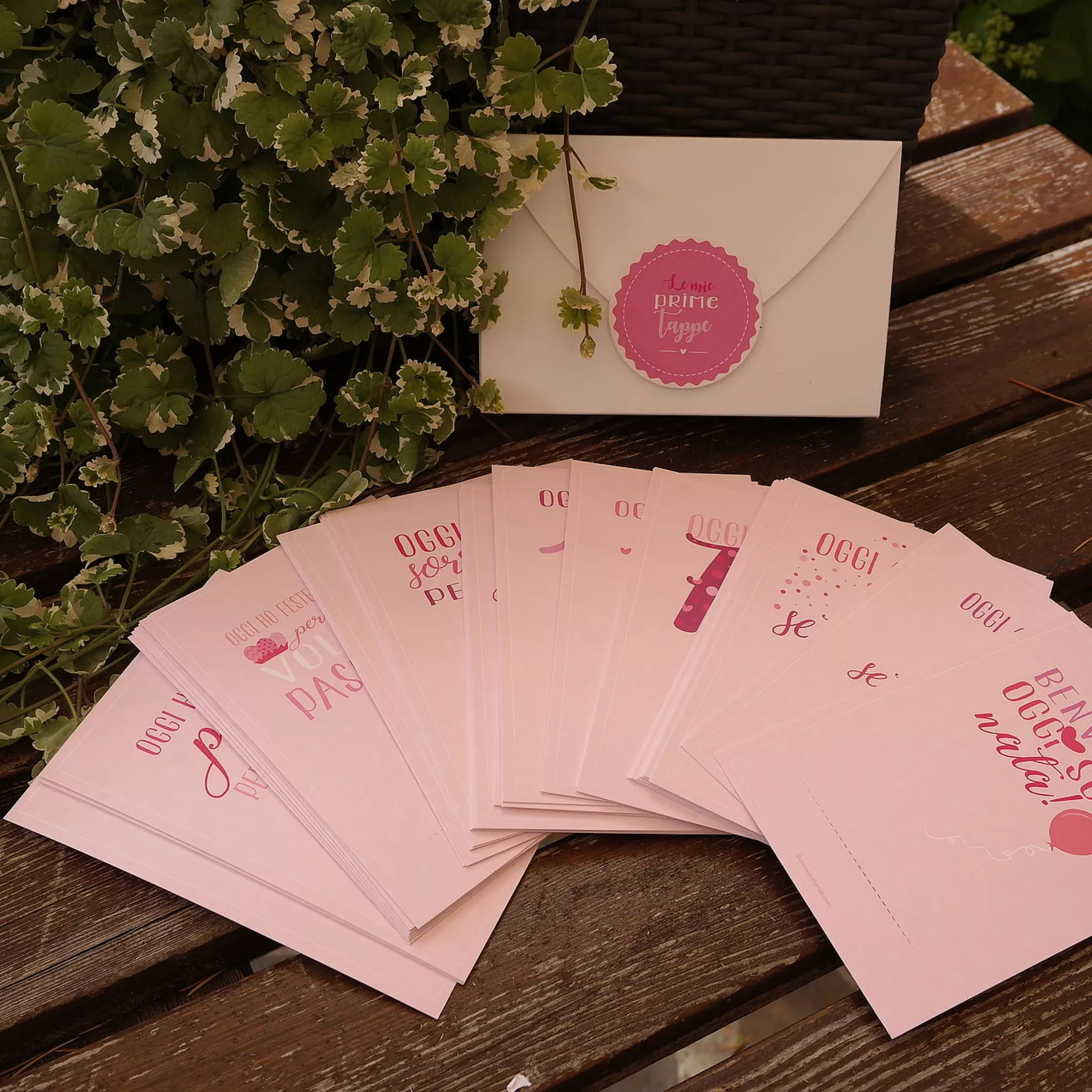 Milestonecards bebe rosa Milestonecards bebe rosa
