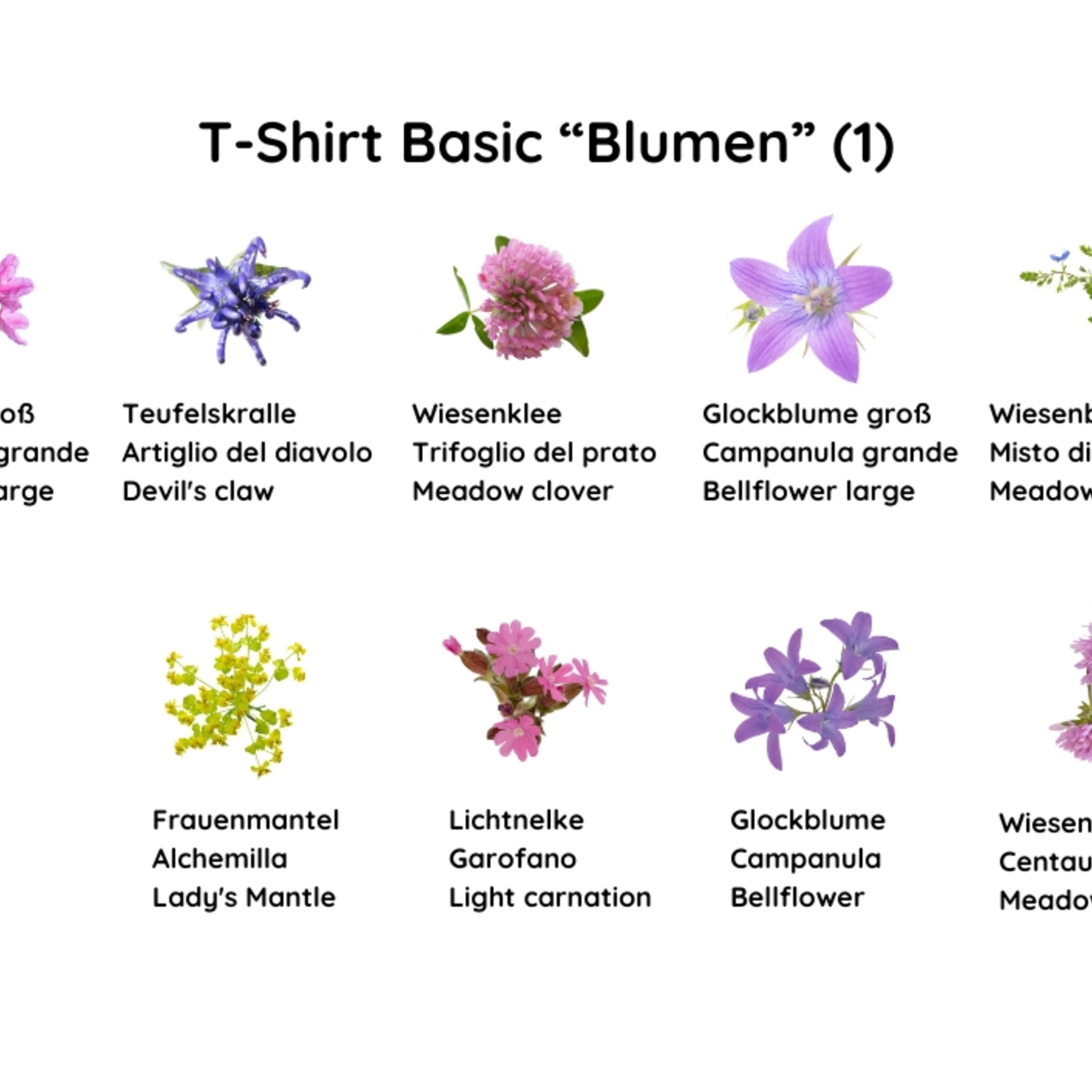 T-Shirt Blumen (1) T-Shirt Blumen (1)