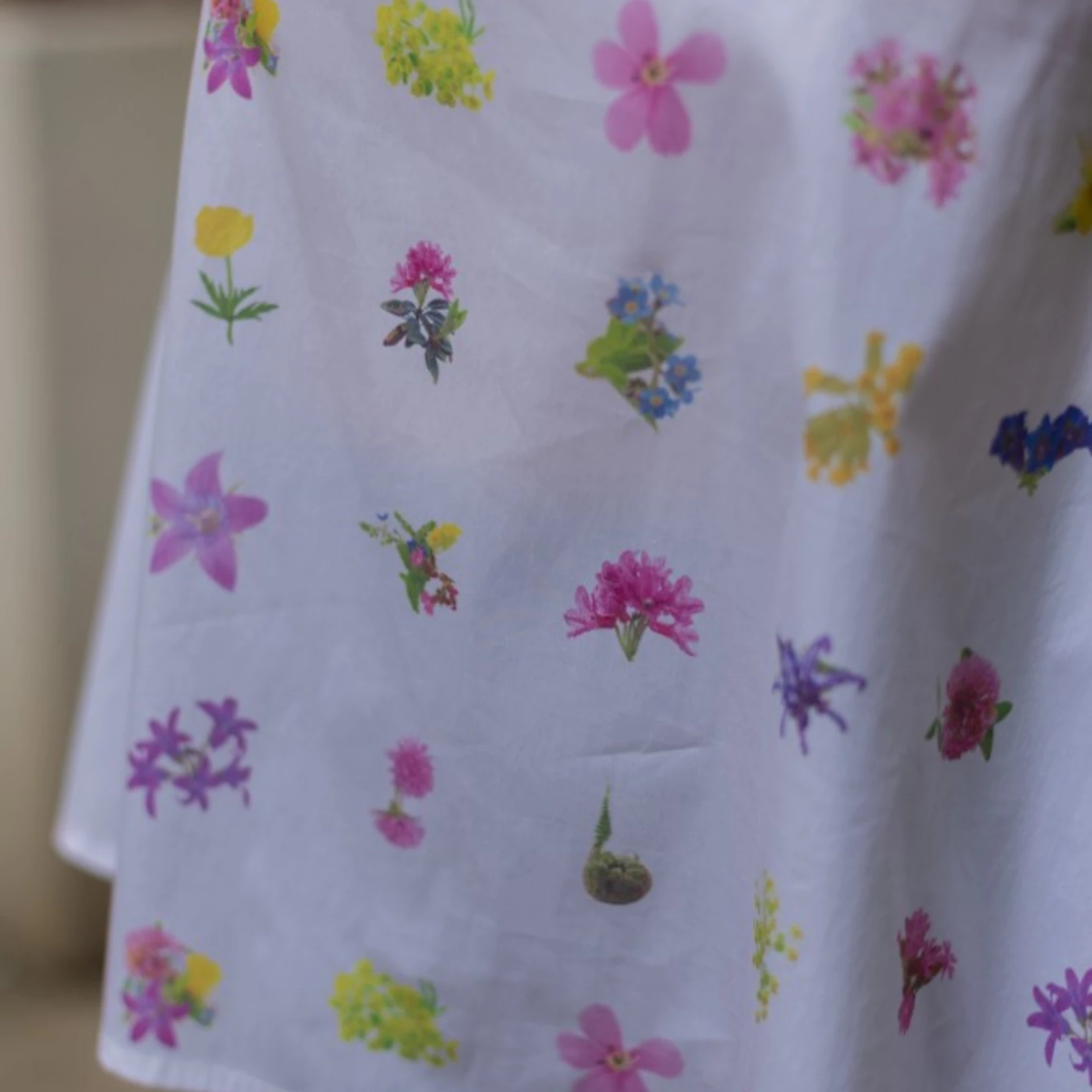 Bluse Zana kurz Goldlinie Bluse Zana kurz Goldlinie