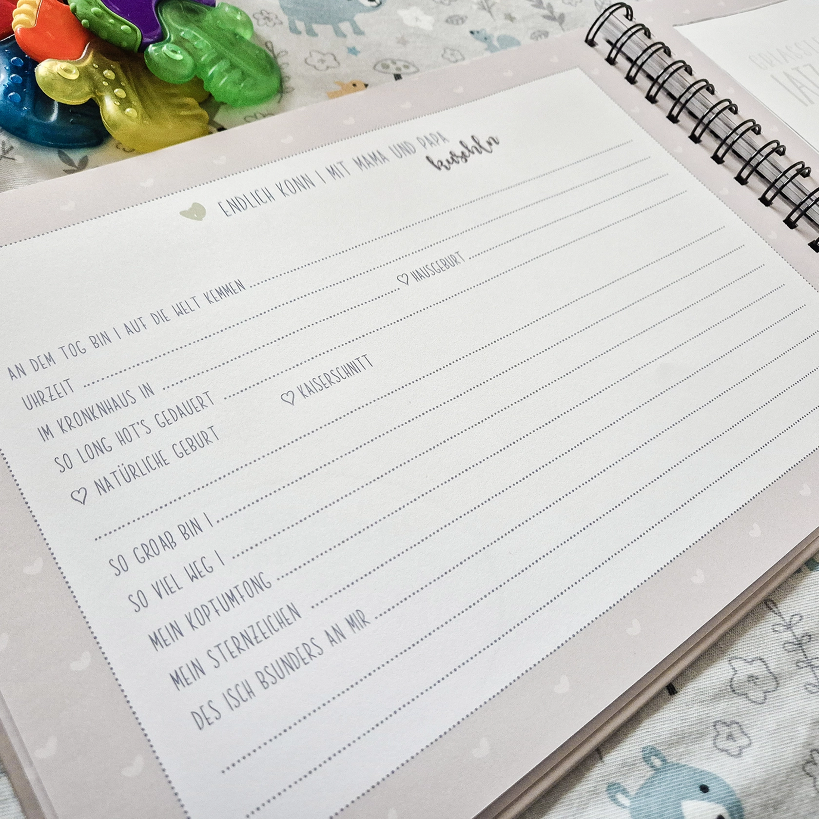 Des bin i – Mein Babybuach Des bin i – Mein Babybuach