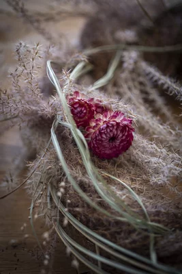 Sogno in rosa