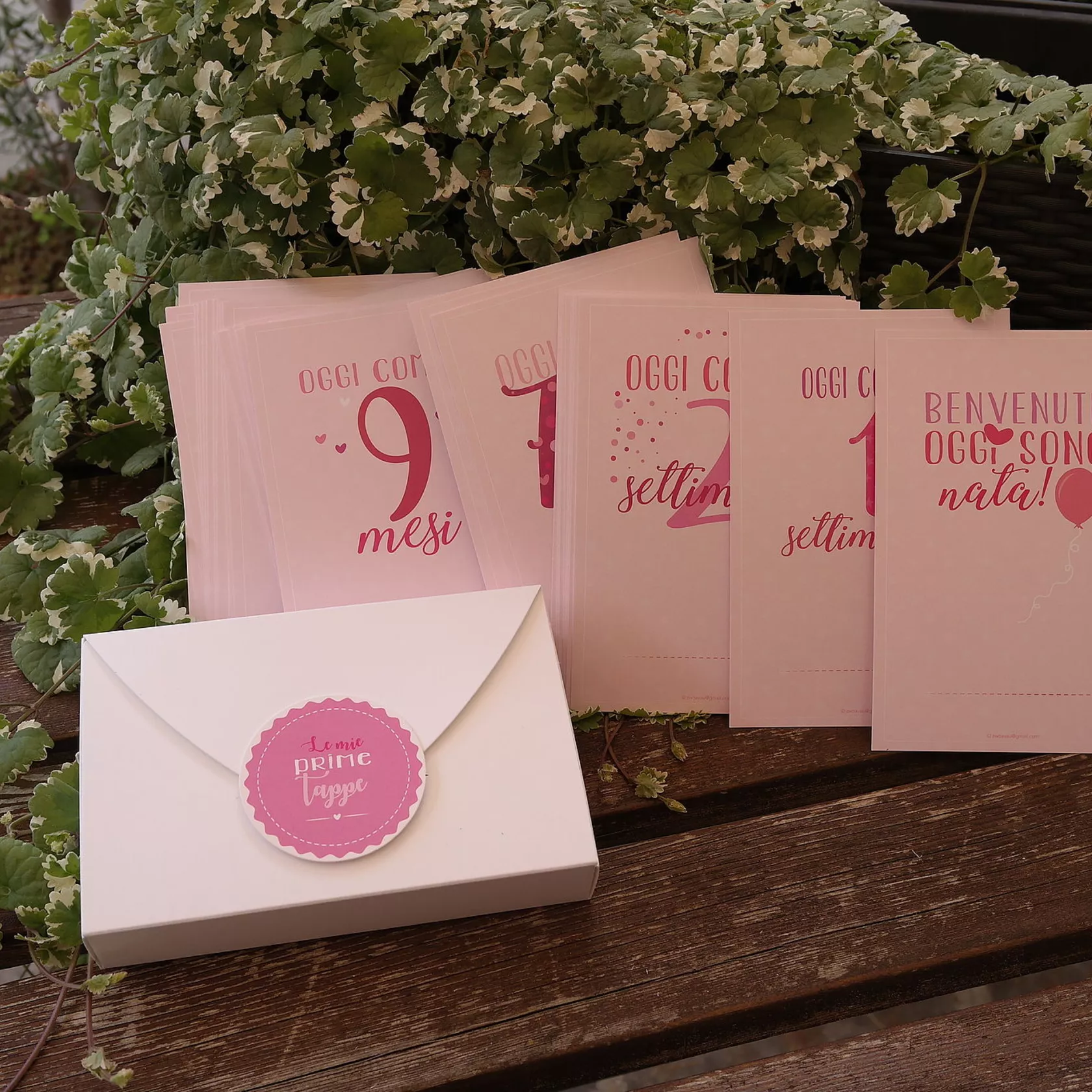 Milestonecards bebe rosa Milestonecards bebe rosa