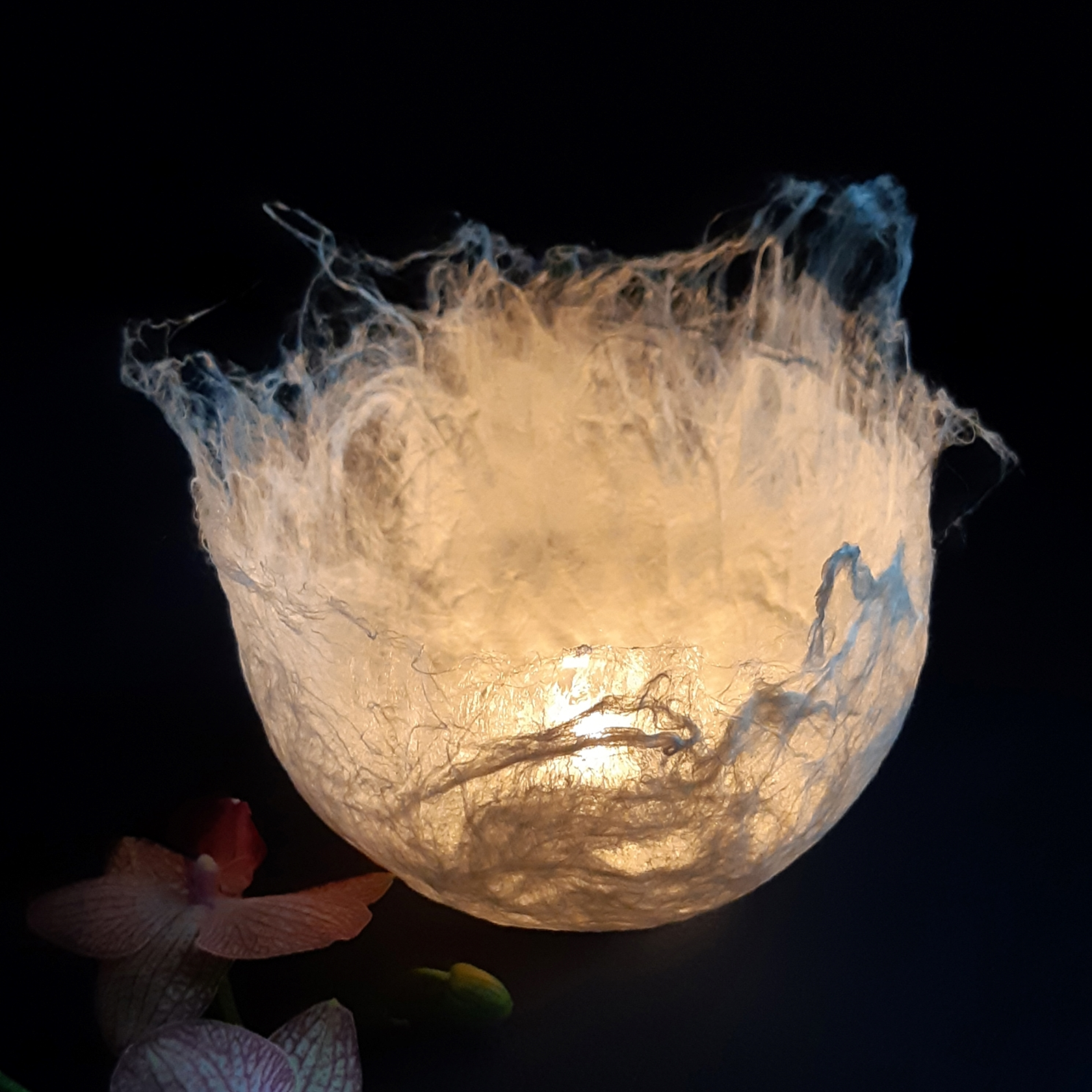 Seidenlicht medium