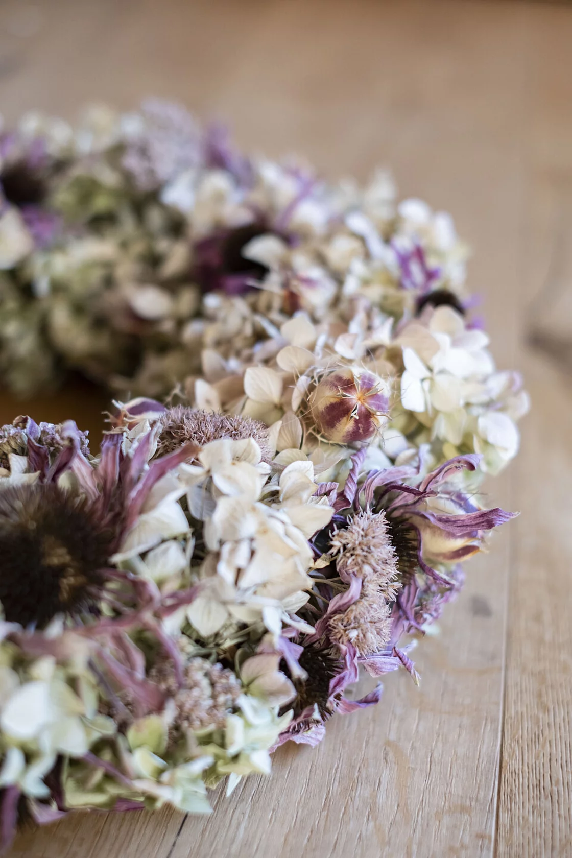 Ghirlanda Naturale con Ortensie & Echinacea Ghirlanda Naturale con Ortensie & Echinacea