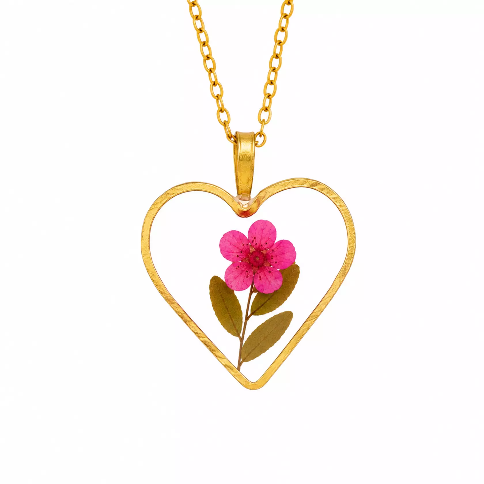 Herzblüte Herzblüte