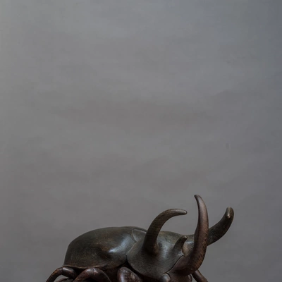 Hirschkäfer Hirschkäfer