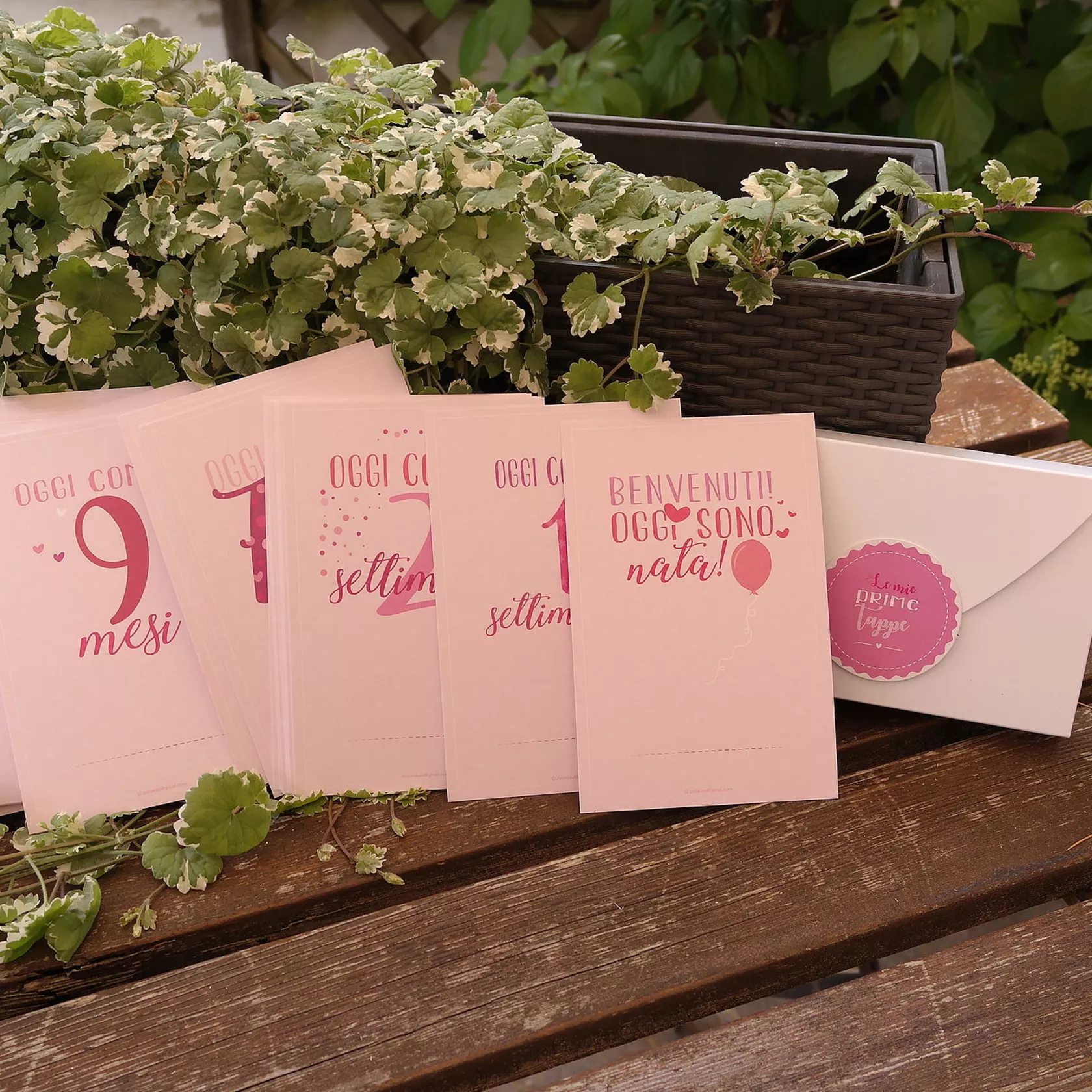 Milestonecards bebe rosa Milestonecards bebe rosa