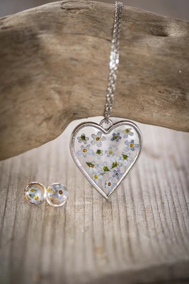 Kräuterschmuck: Vergissmeinnicht Kräuterschmuck: Vergissmeinnicht