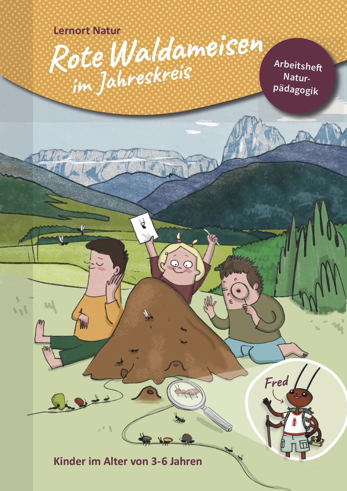 Rote Waldameisen im Jahreskreis Rote Waldameisen im Jahreskreis