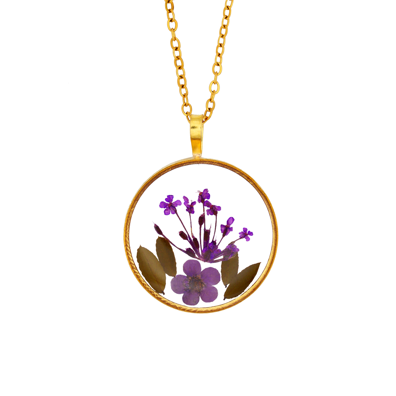 Violette Harmonie Violette Harmonie