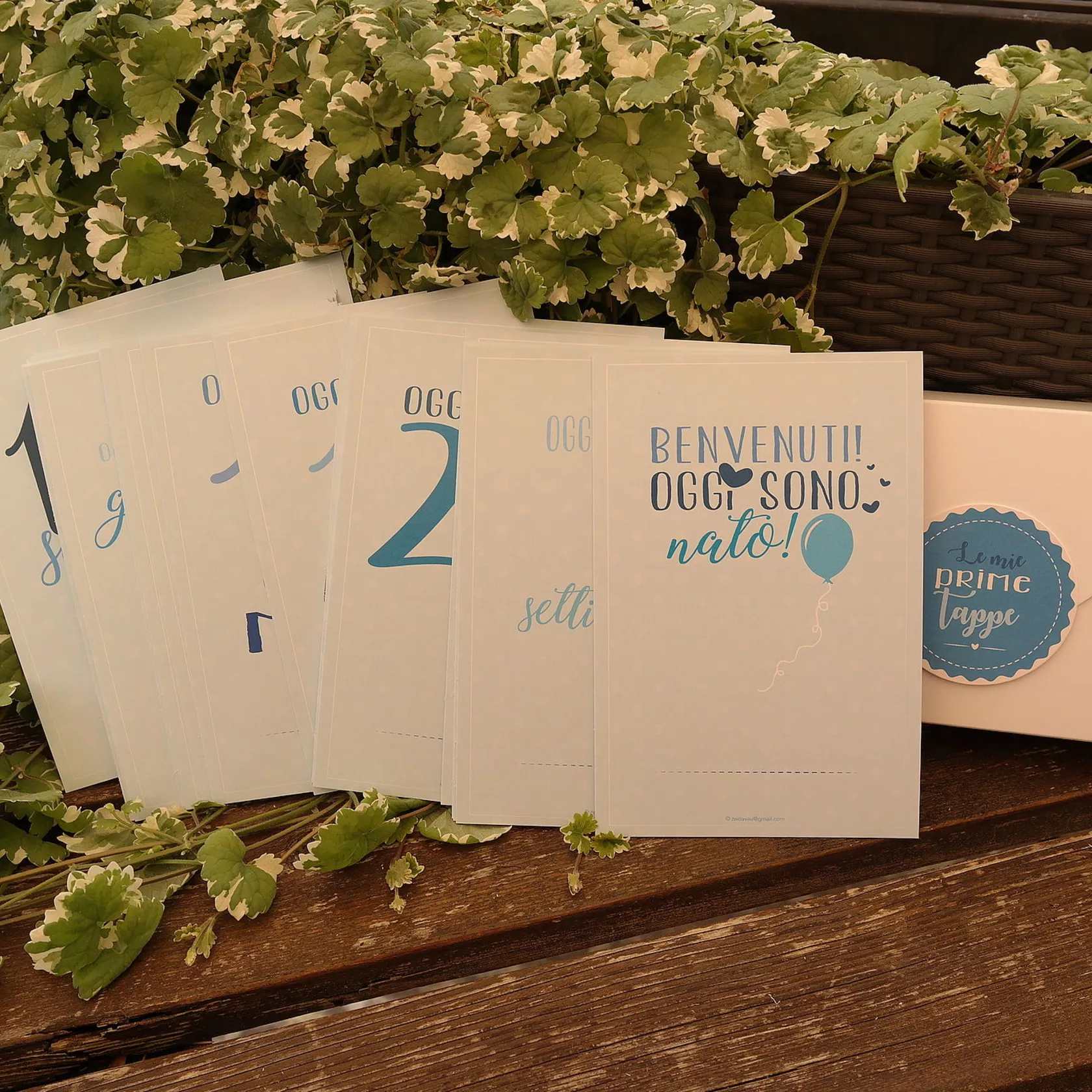 Milestonecards bebe blu