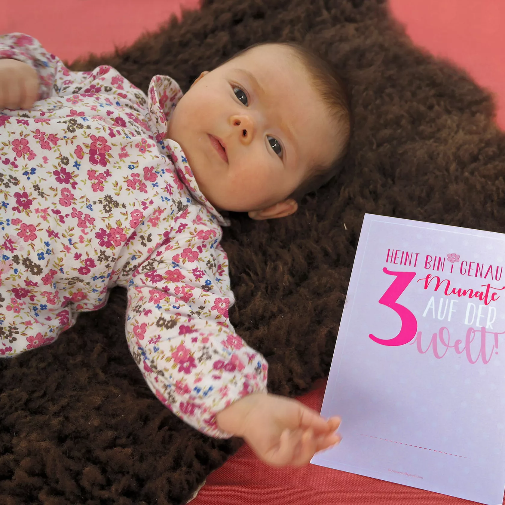Meilnstoankortnset Baby rosa Meilnstoankortnset Baby rosa