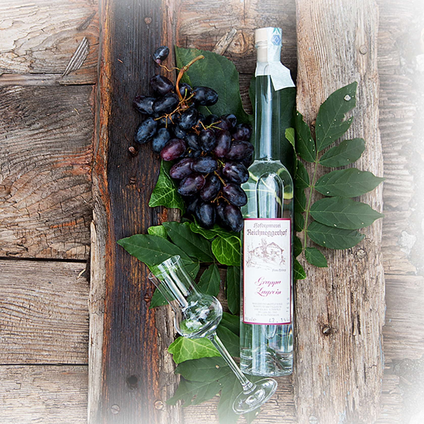 Grappa
