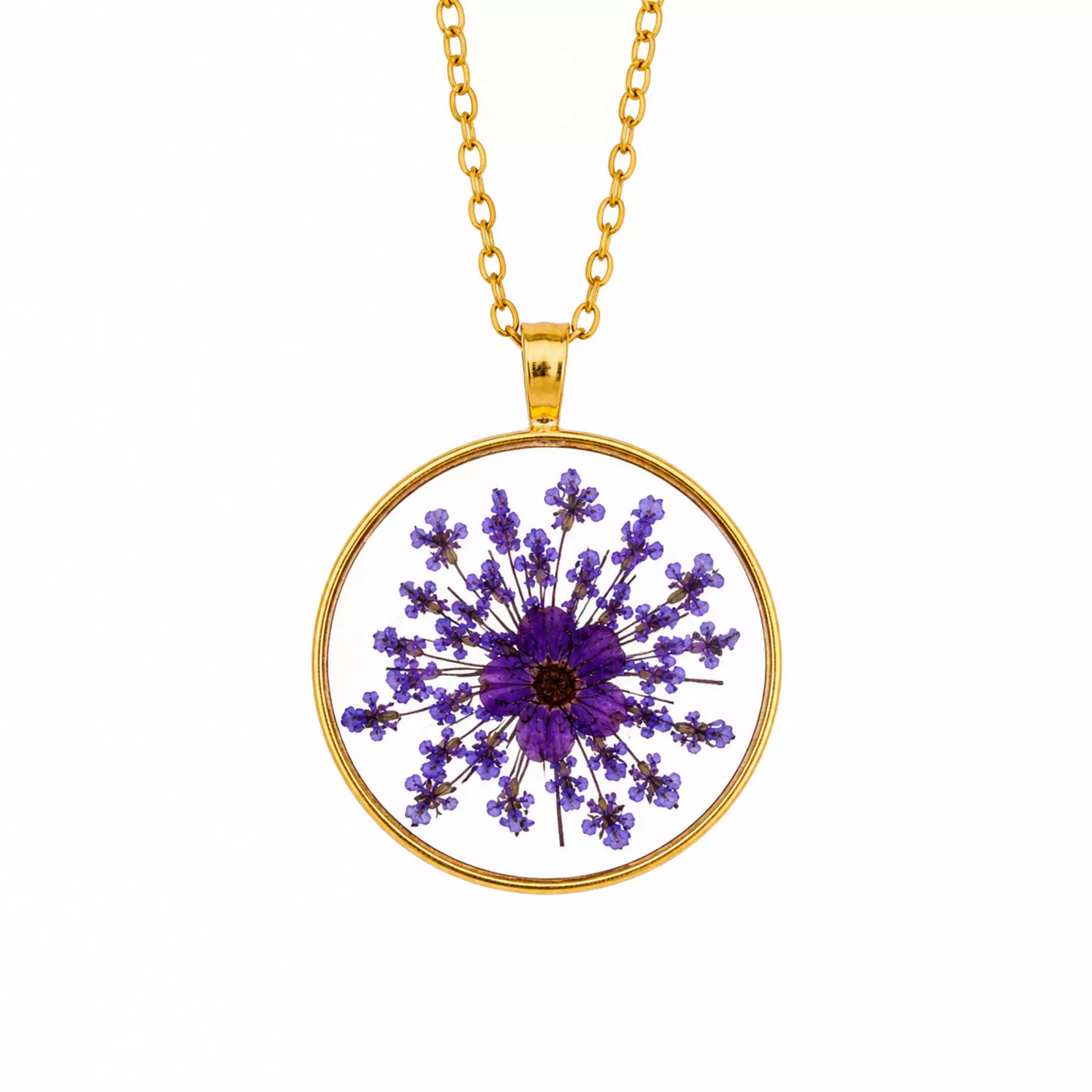 Violetter Sternentanz Violetter Sternentanz