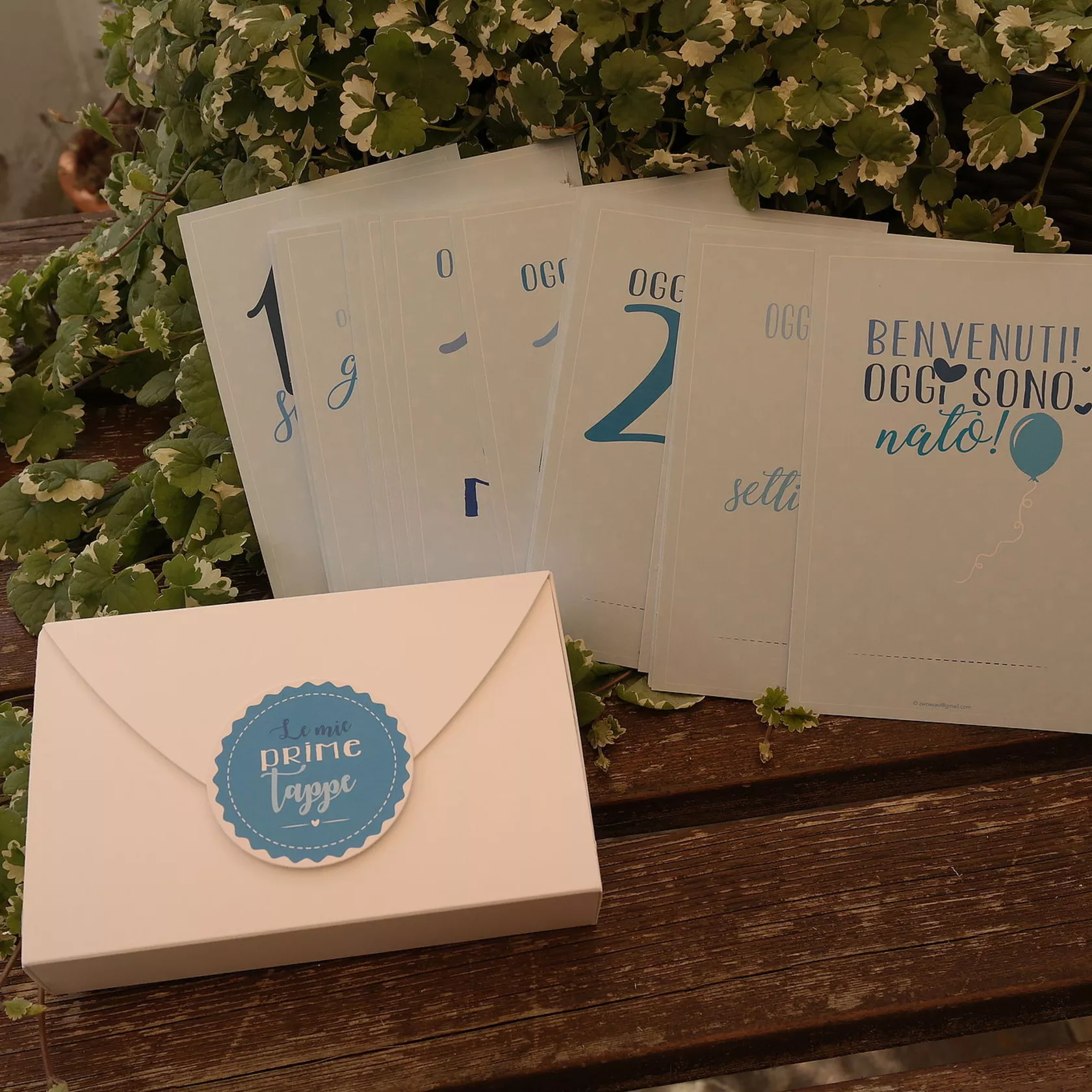 Milestonecards bebe blu