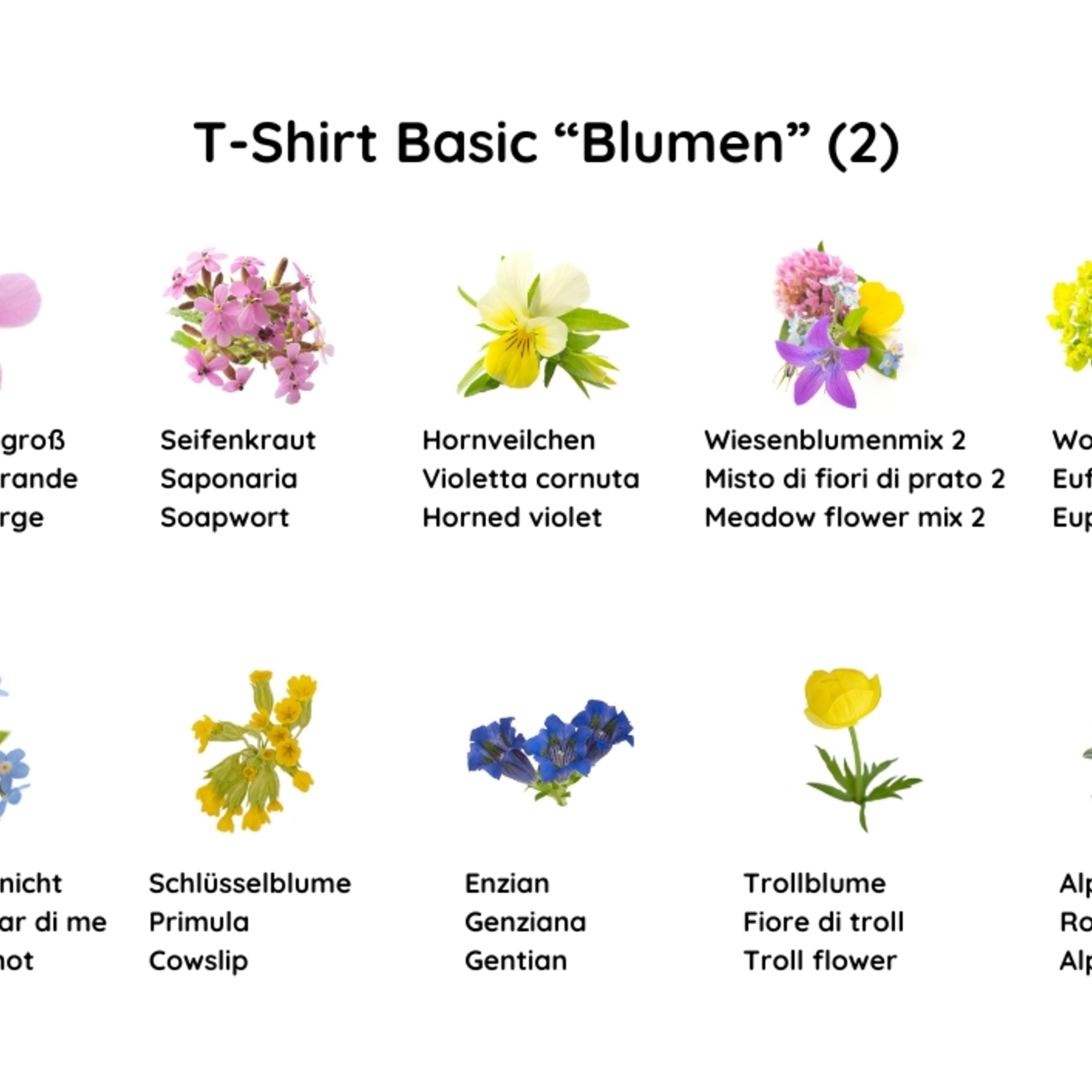 T-Shirt Blumen (2) T-Shirt Blumen (2)