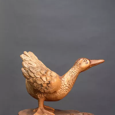 Gans in Bewegung Gans in Bewegung