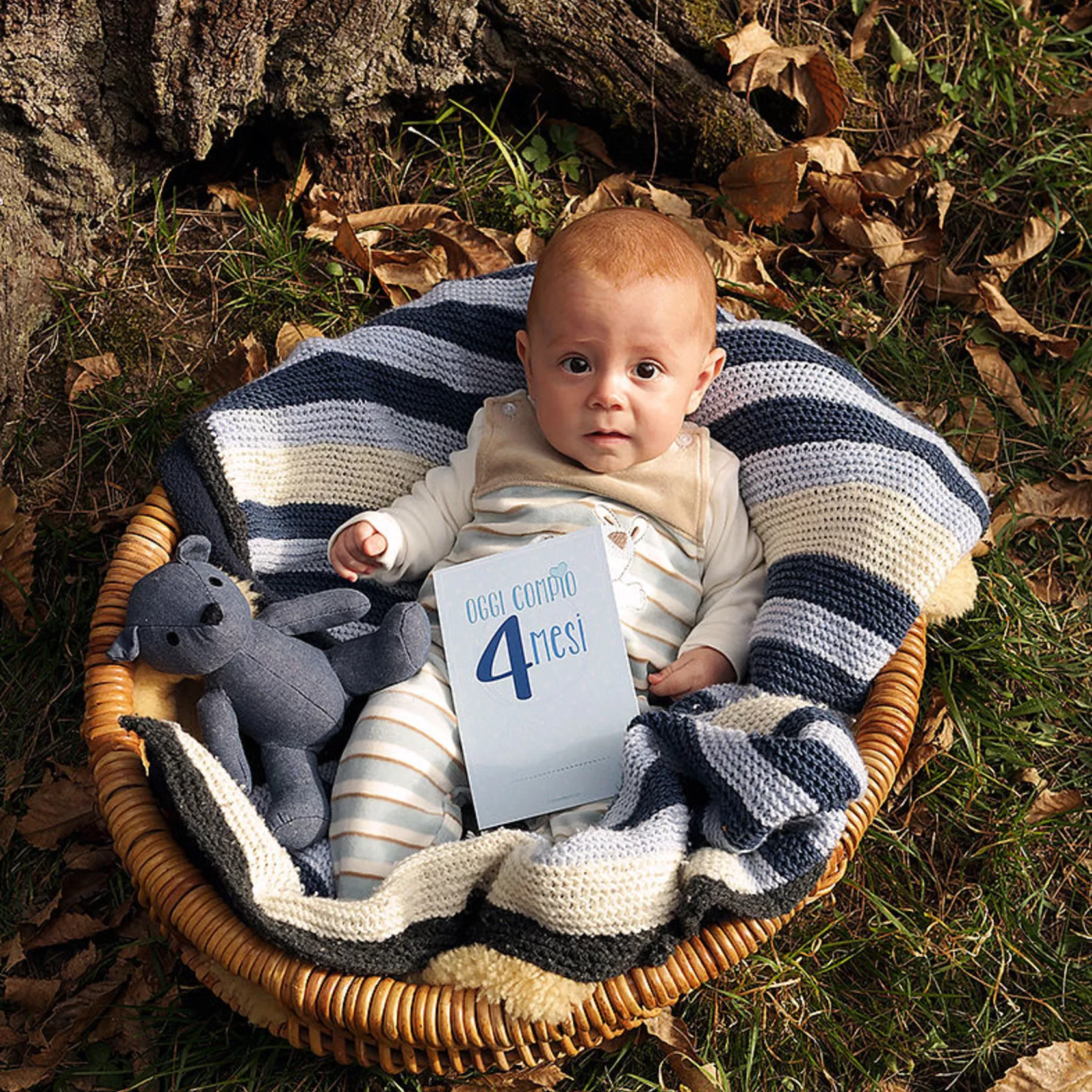 Milestonecards bebe blu