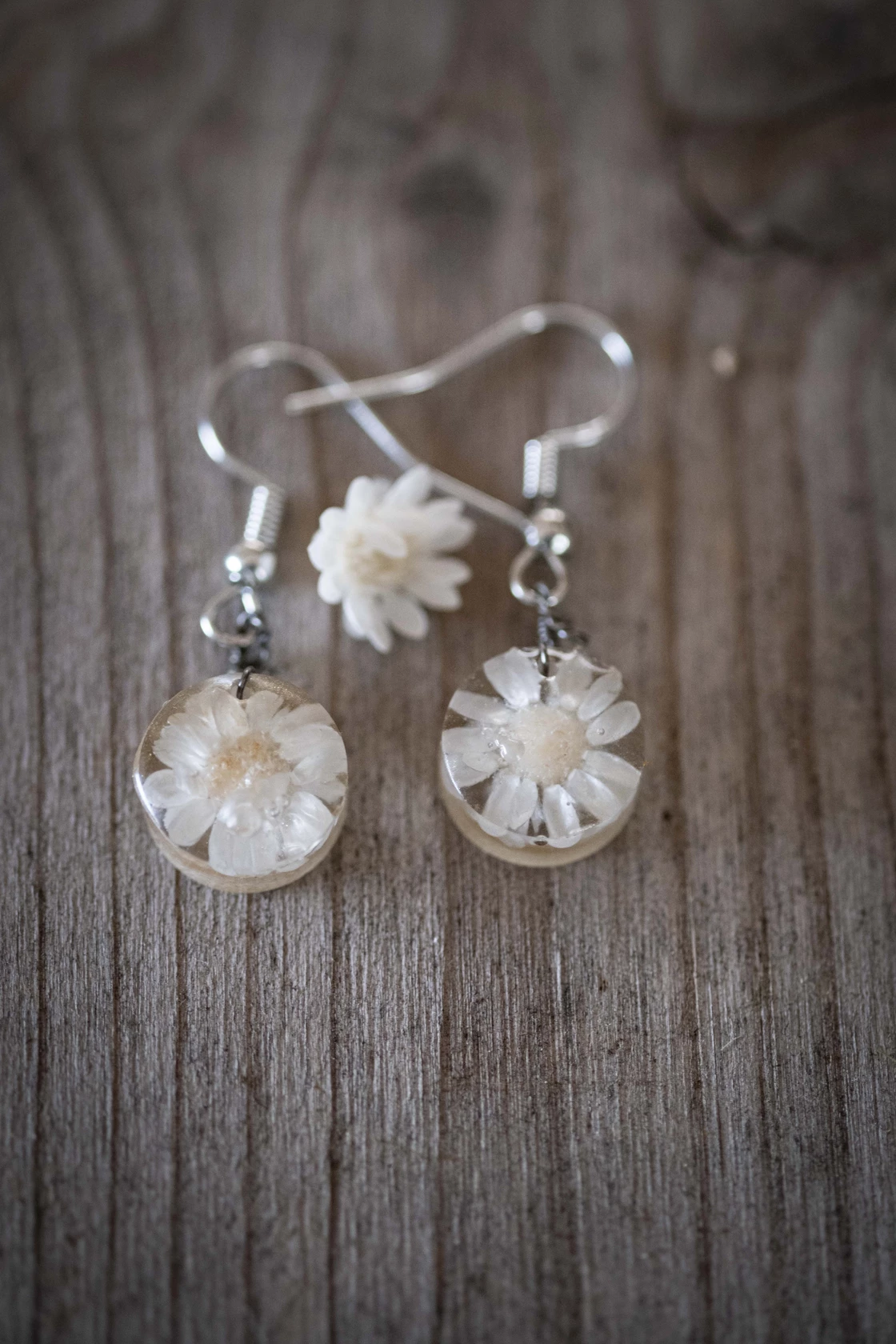 gioielli di erbe: fiori in bianco gioielli di erbe: fiori in bianco